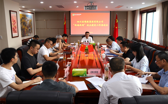 鄧華主持召開集團公司“兩端兩網(wǎng)”試點建設(shè)工作推進會