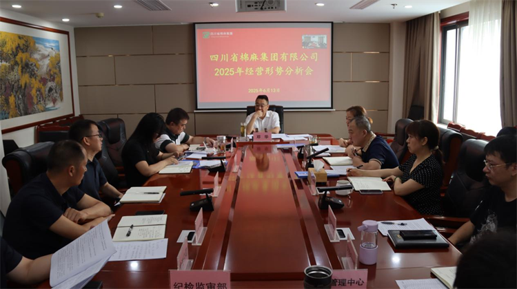 集團公司召開2025年經營形勢分析會